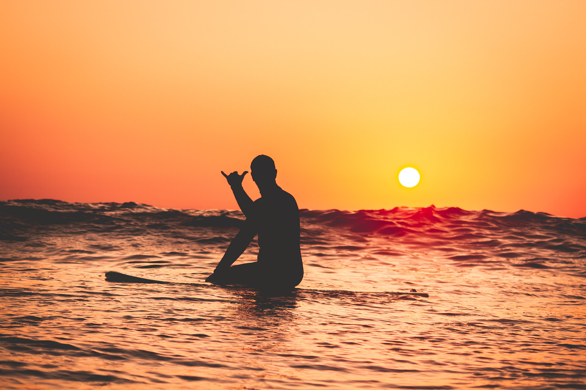 Hang Loose surfer